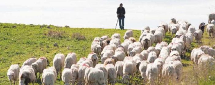 Διεύθυνση Αγροτικής Οικονομίας ΠΕ Καστοριάς: Ανακοίνωση προς Κτηνοτρόφους