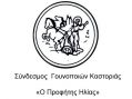 Νέα Δ.Σ. του Συνδέσμου Γουνοποιών Καστοριάς «Ο ΠΡΟΦΗΤΗΣ ΗΛΙΑΣ»