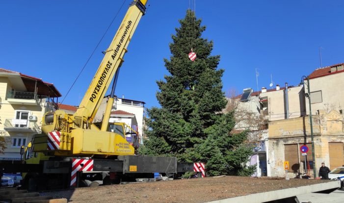 Άργος Ορεστικό: Τοποθετήθηκε σήμερα το Χριστουγεννιάτικο δέντρο