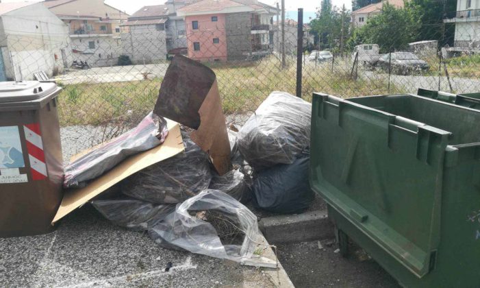 Καθημερινή η προσπάθεια της Υπηρεσίας Καθαριότητας του Δήμου Καστοριάς  για την περισυλλογή ογκωδών αντικειμένων, κλαδιών και χόρτων