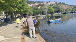 Συνεχίζεται ο καθαρισμός της λίμνης Καστοριάς με πολύ καλά αποτελέσματα από την Π.Ε. Καστοριάς