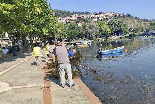 Συνεχίζεται ο καθαρισμός της λίμνης Καστοριάς με πολύ καλά αποτελέσματα από την Π.Ε. Καστοριάς