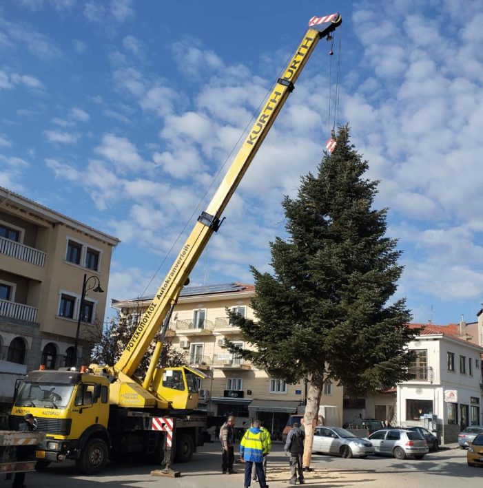 Στήθηκε το δέντρο στο Άργος Ορεστικό