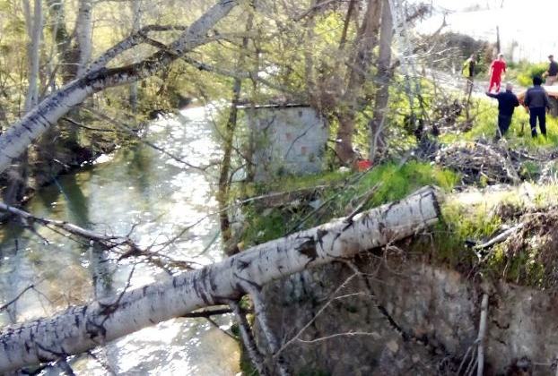Ολοκλήρωση Εργασιών Απομάκρυνσης Επικίνδυνων Δέντρων από την Π.Ε. Καστοριάς