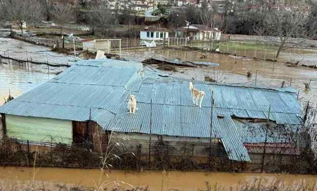 Καλούνται οι Πληγείσες Επιχειρήσεις της Π.Ε Καστοριάς να Υποβάλουν Αίτηση Κρατικής Αρωγής