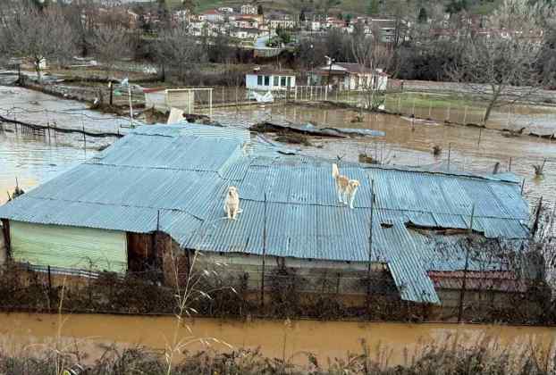 Καλούνται οι Πληγείσες Επιχειρήσεις της Π.Ε Καστοριάς να Υποβάλουν Αίτηση Κρατικής Αρωγής