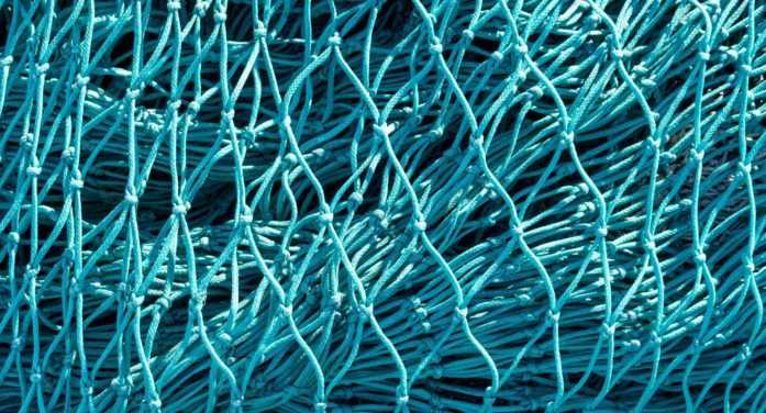 Δίχτυα σκίασης στα θερμοκήπια: όταν η σκιά γίνεται εργαλείο ελέγχου