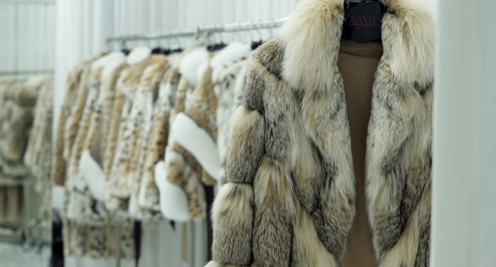 51η KASTORIA International Fur Fair: Το Αποτύπωμα της Αγοράς